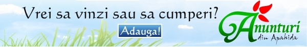 anunturi-banner
